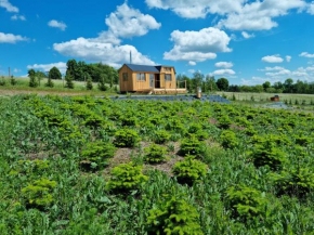 Tiny house Vánoční vyhlídka